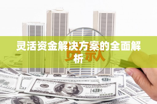 信州灵活资金解决方案的全面解析