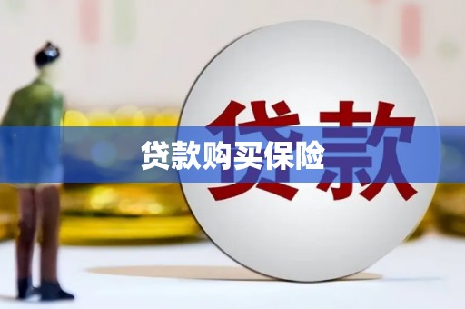 信州贷款购买保险