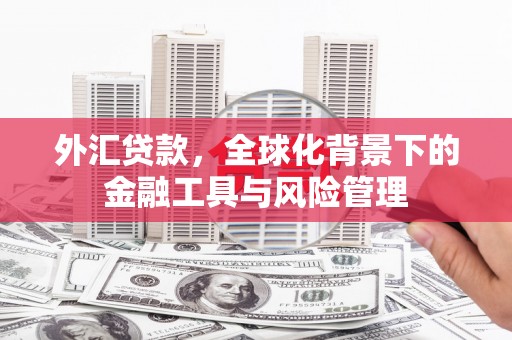 信州外汇贷款，全球化背景下的金融工具与风险管理