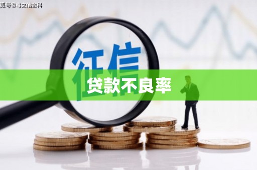 信州贷款不良率