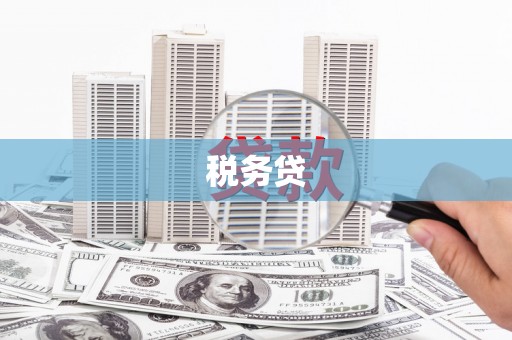 信州税务贷